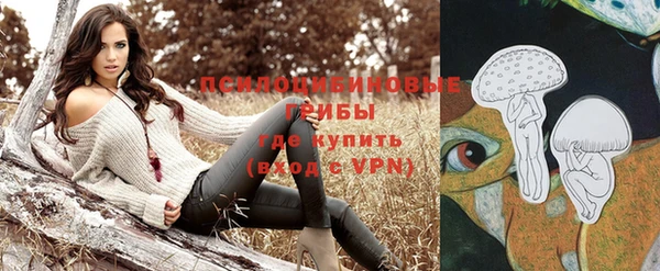бошки Алзамай