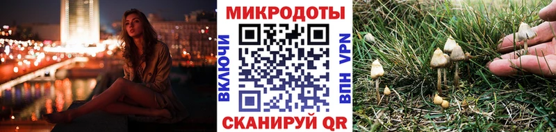ОМГ ОМГ ссылки Шацк Псилоцибиновые грибы Cubensis